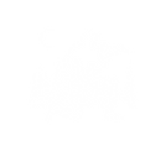 Old Iron Death™ feature icon - action-adventure genre