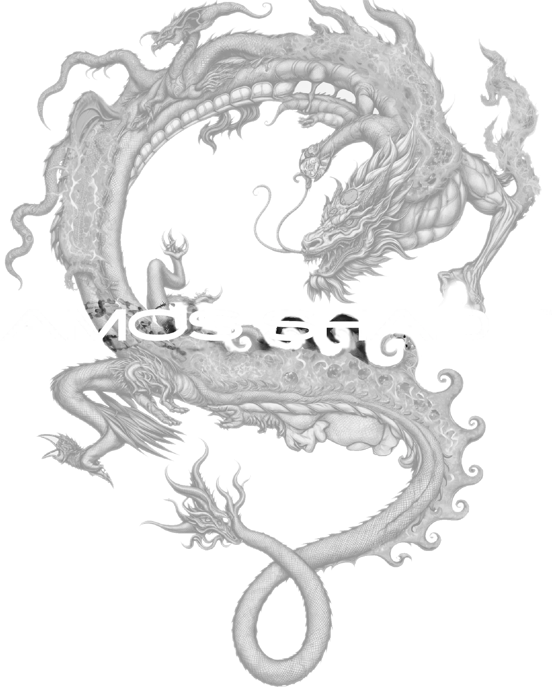 Amos Shade Logo